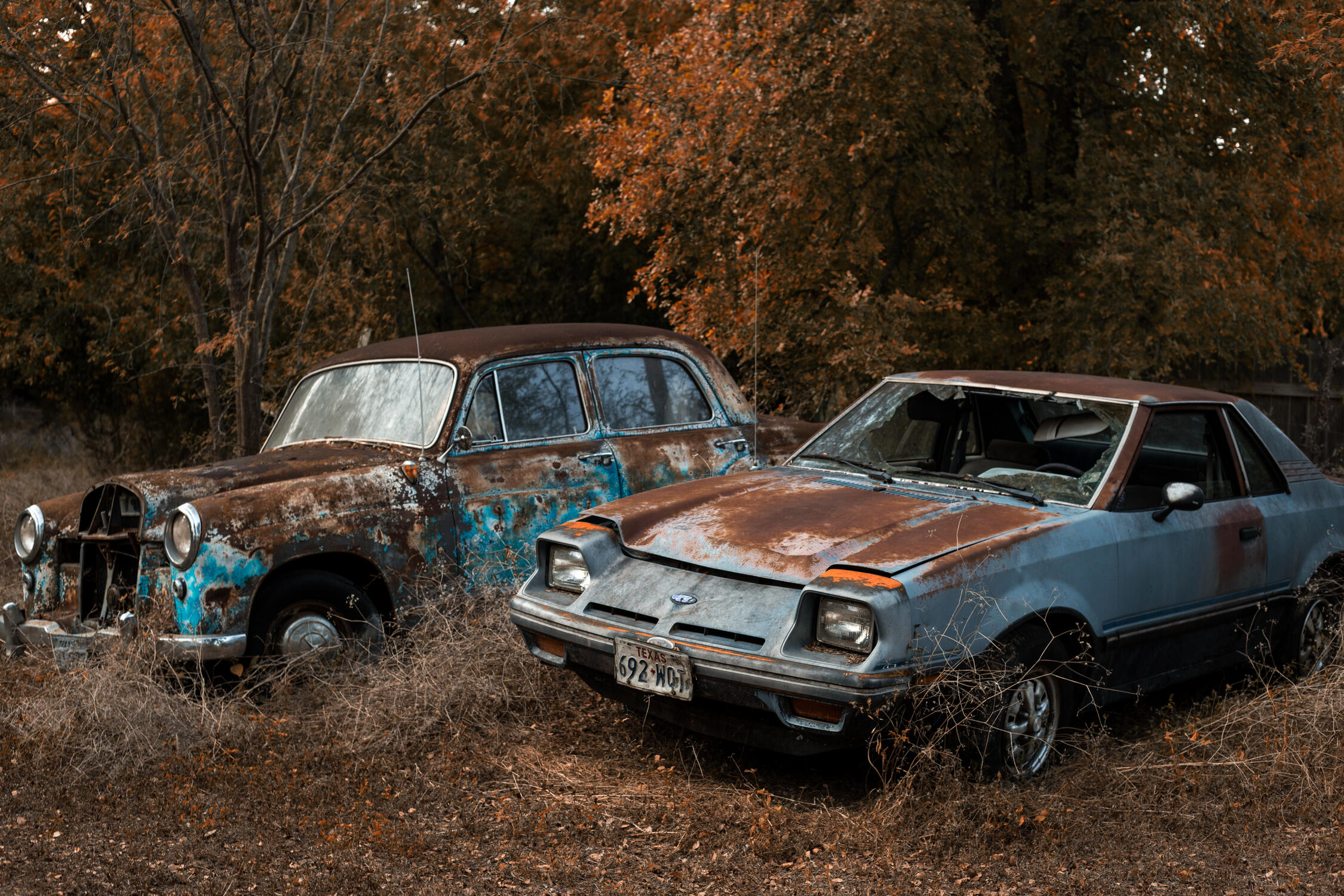 Forgotten Dreams