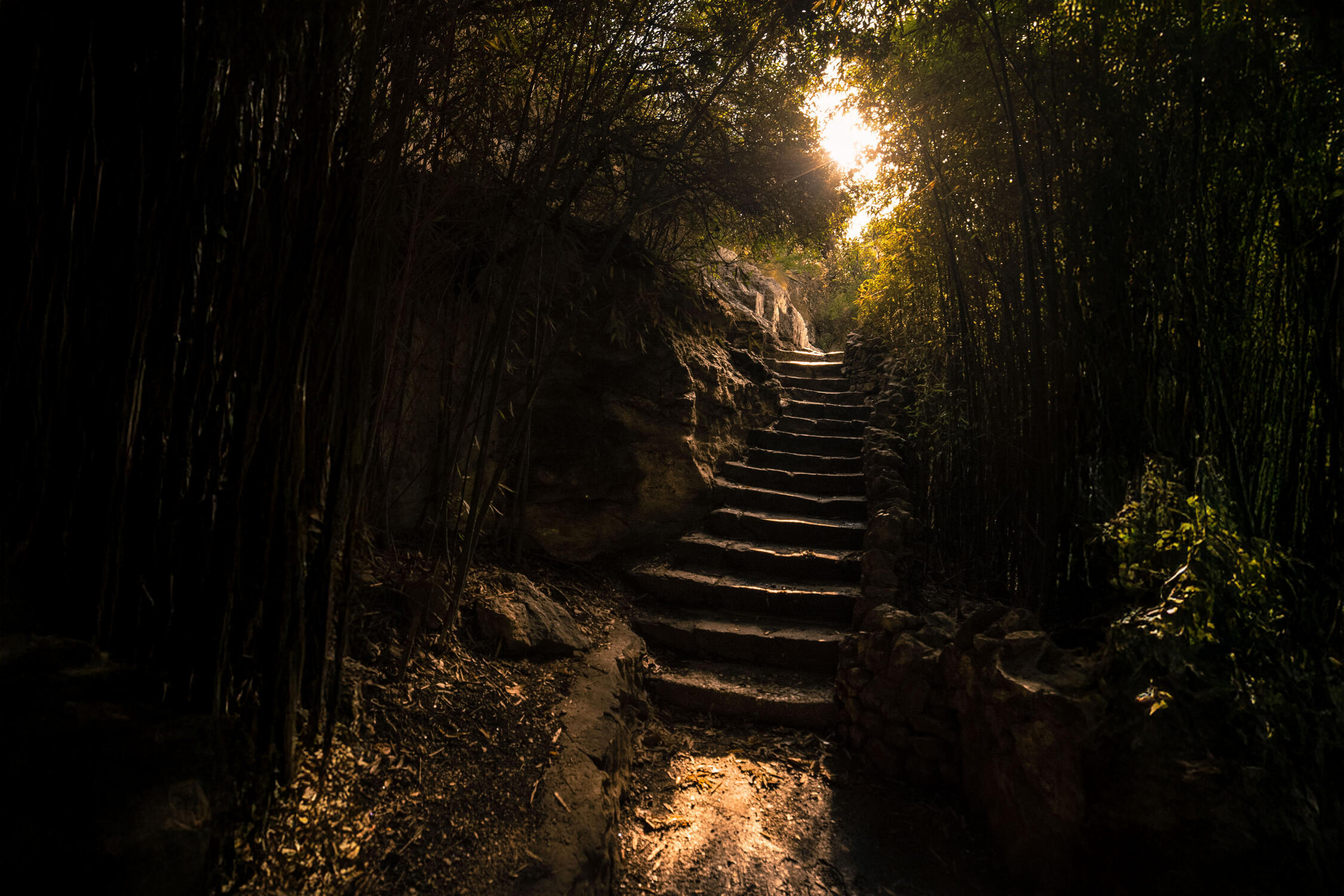 Where the Light Seeps In